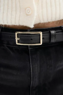 Clean rectangular belt