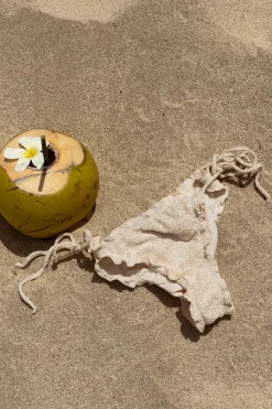 14+ paloma cheeky bikini bottom