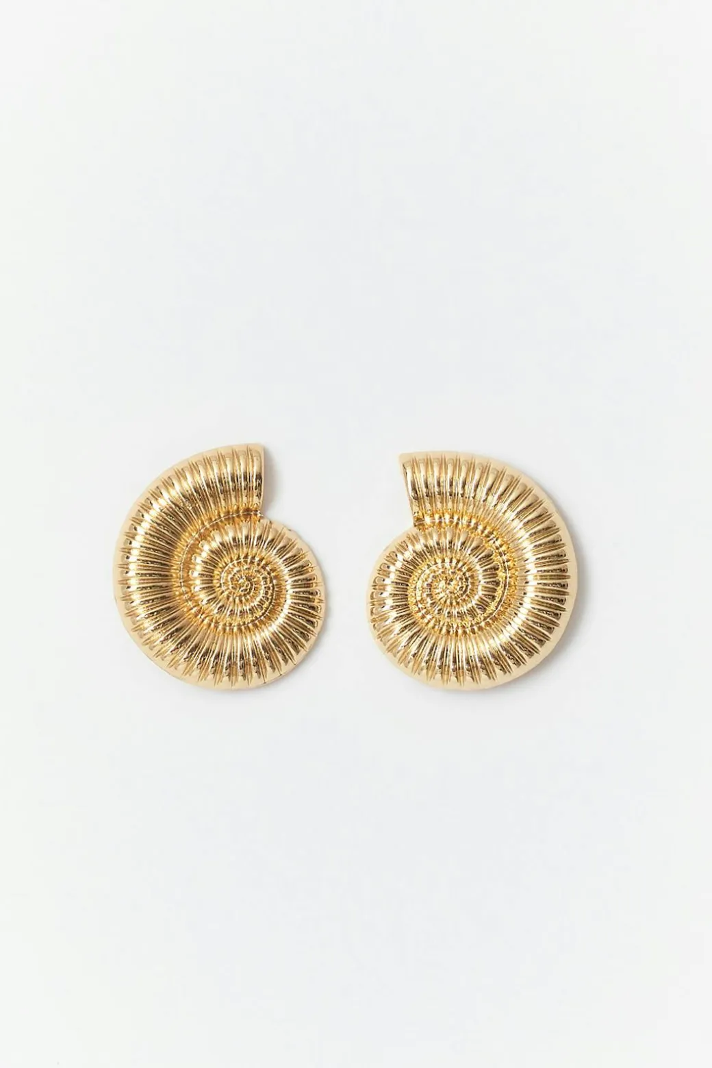 Sea shell earrings
