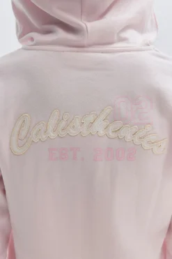 14+ 2 way zip hoodie